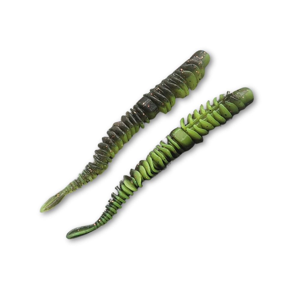 Silverfish