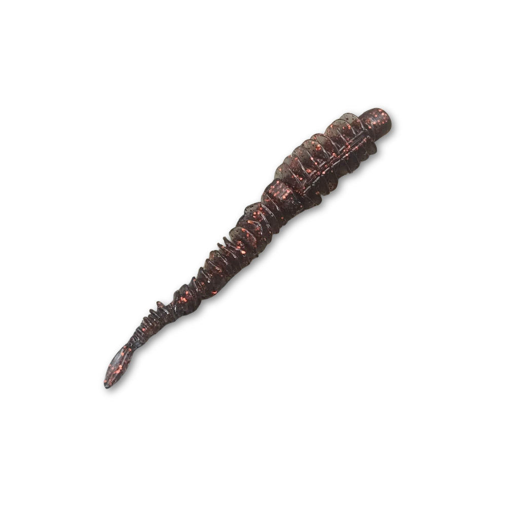 Silverfish