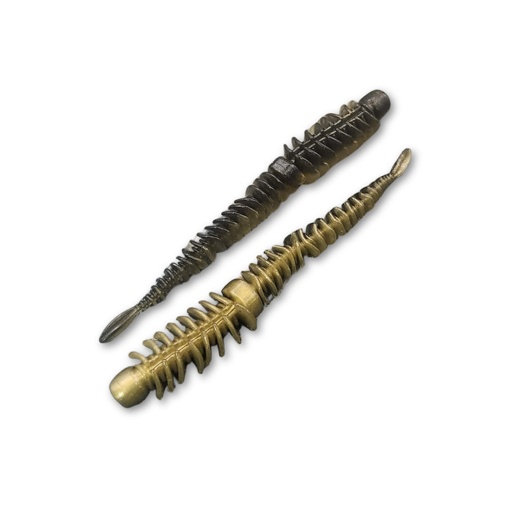 Silverfish